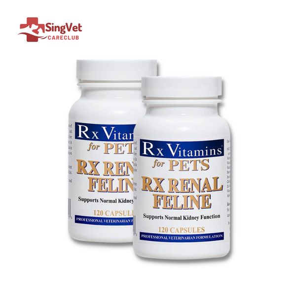 Rx vitamins renal canine sale