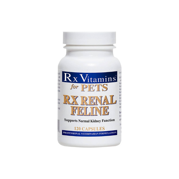 Rx Vitamins Renal Cat for Kidney disease SingVet Animal Clinic