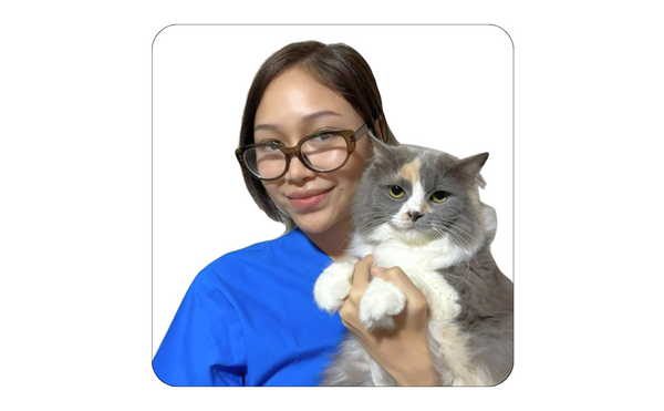 Nurulafira Aqisha