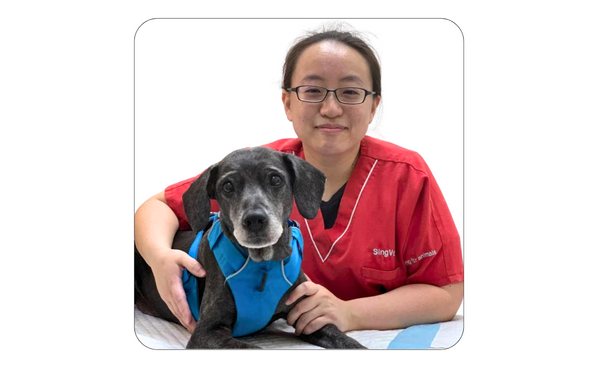 Dr. Deng Yujia
