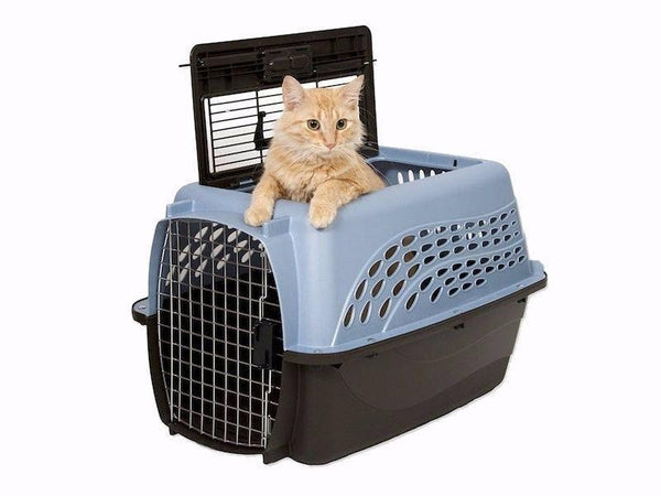 Cat Carrier Introduction