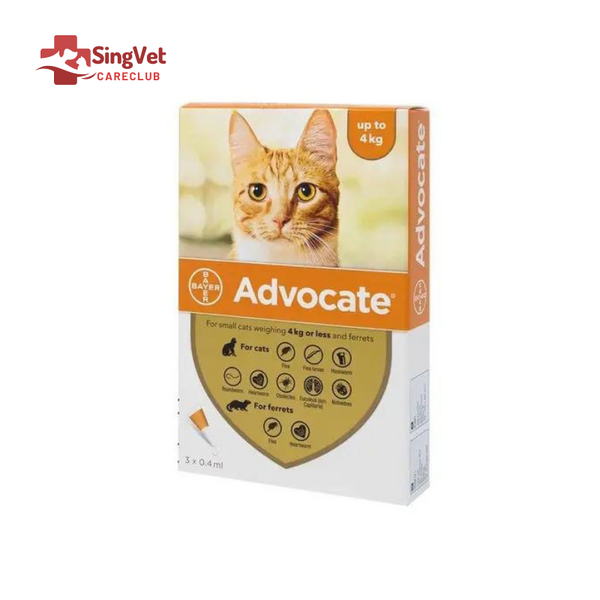 Advocate Cat Spot-On Small (<4kg) - Box of 3