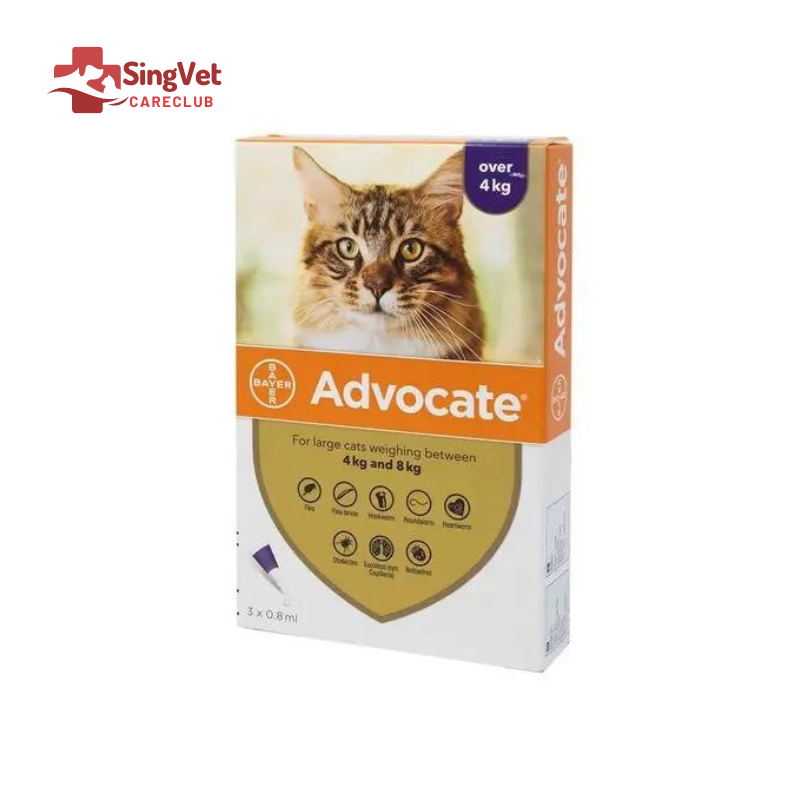 Advocate Cat Spot-On Medium (4 to 8kg) - Box of 3