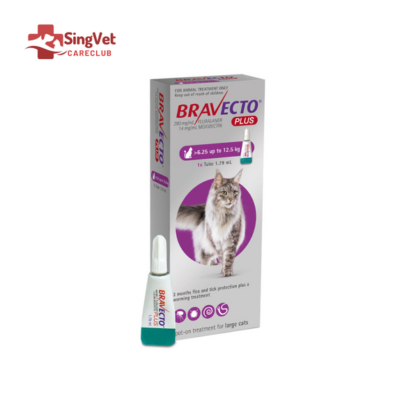Bravecto Plus Cat Spot-On (6.25kg to 12.5)