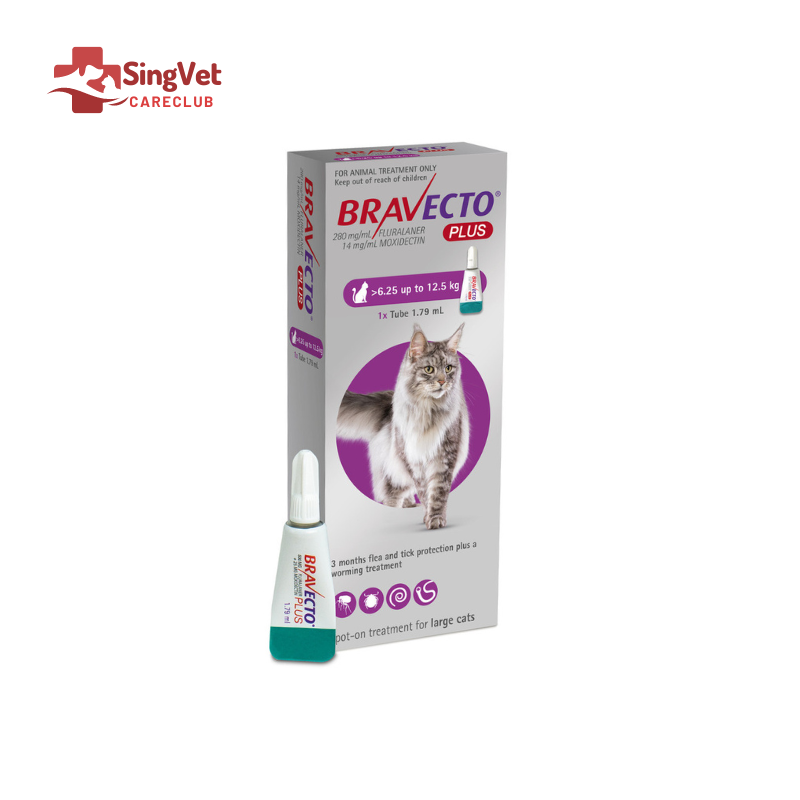 Bravecto plus for 2024 cats