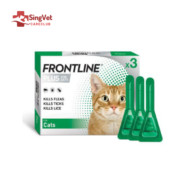 Frontline Plus Cat Spot On Box of 3 SingVet Animal Clinic