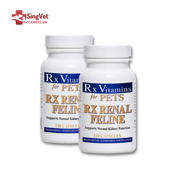 Bundle : 2 bottles of Rx Vitamins Renal Cat for Kidney Disease