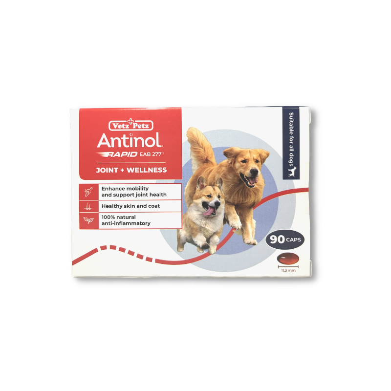 Antinol Rapid for Dogs - Box of 90