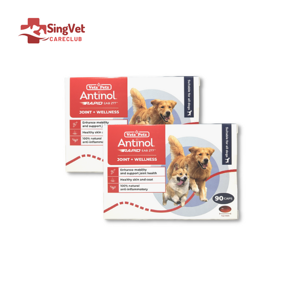 Bundle : 2 boxes of Antinol Rapid for Dogs - Box of 90