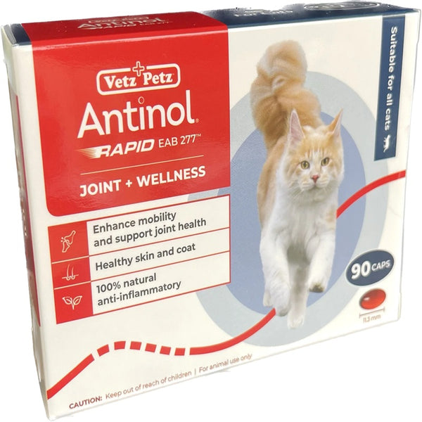 Antinol Rapid for Cats - Box of 90