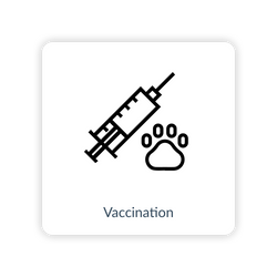 Vaccination