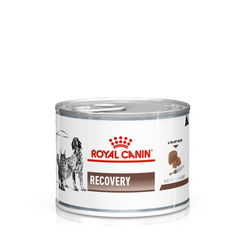 Royal Canin Cat/Dog Recovery 195g
