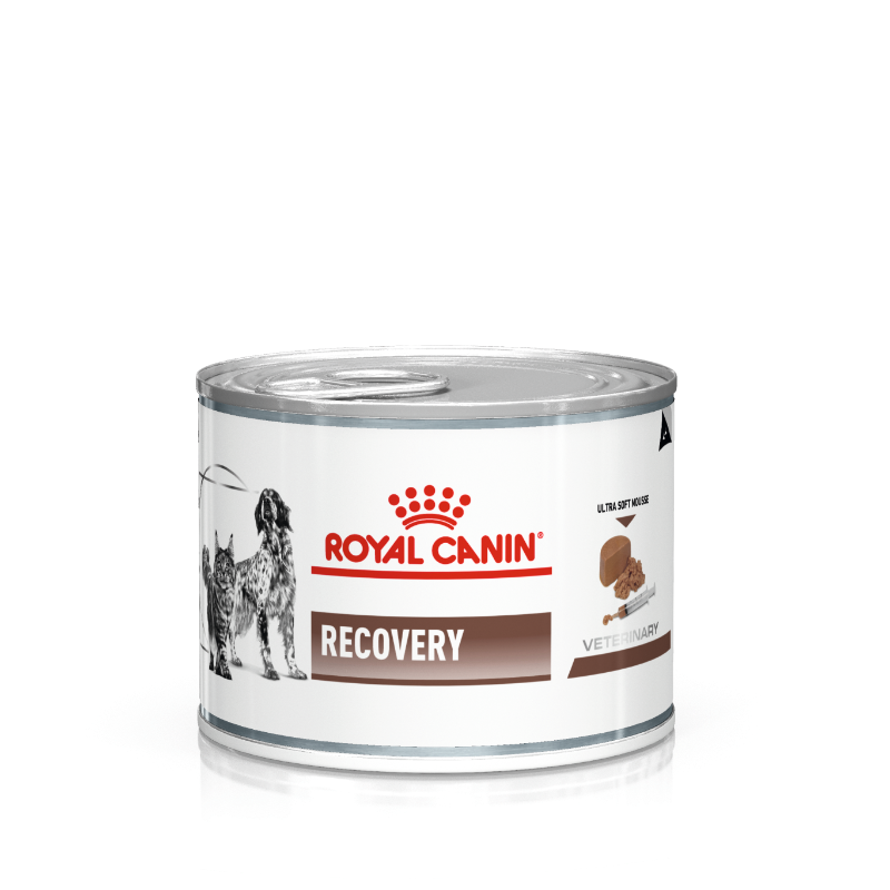 Royal Canin Cat/Dog Recovery 195g