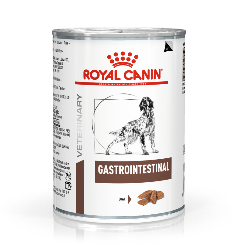 Royal Canin Dog Gastrointestinal 400g SingVet Animal Clinic
