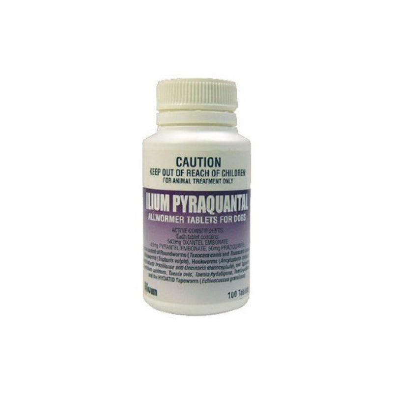 Iliium Pyranquantel Dewormer for Dogs - 1 tablet per order
