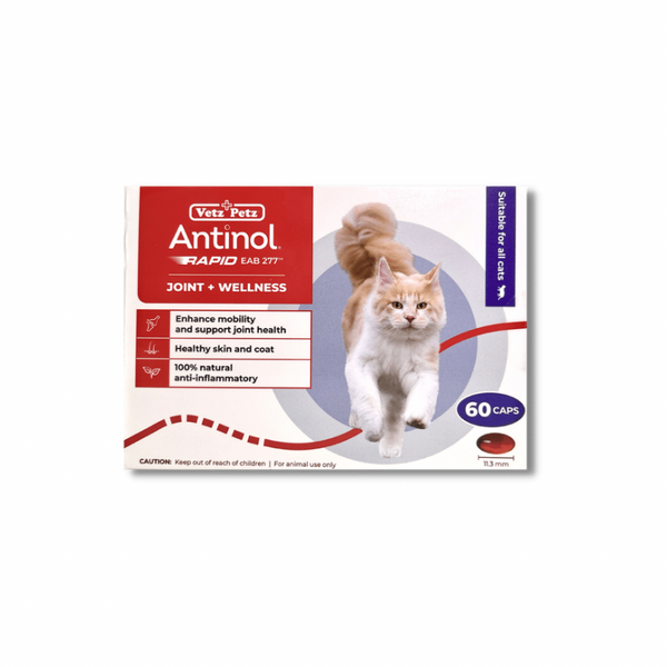 Antinol Rapid for Cats 60 capsules